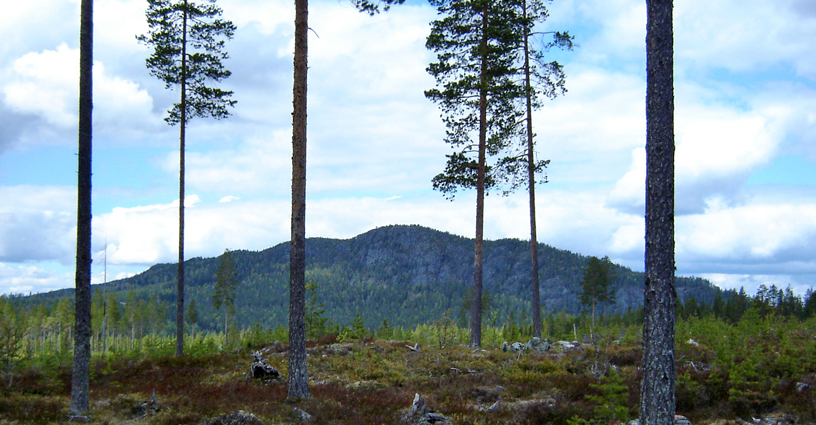 1_Utsikt_mot_Balberget_Foto_Agneta_Malmström.jpg