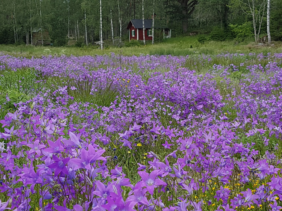 20190618_1344201.jpeg