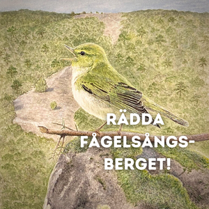 300x300_helafågeln.png