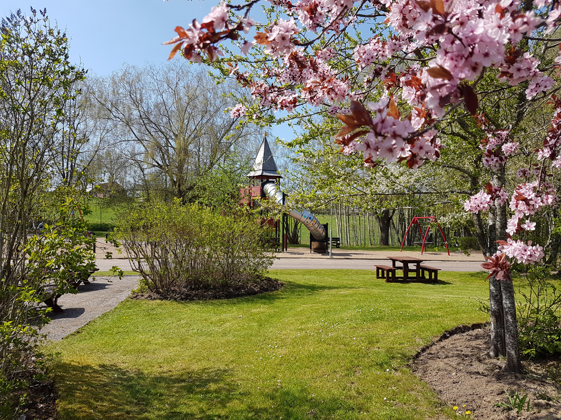 Folkets_Park_vår.jpg