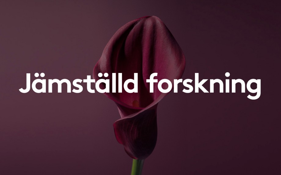 Jämställd_forskning.jpg