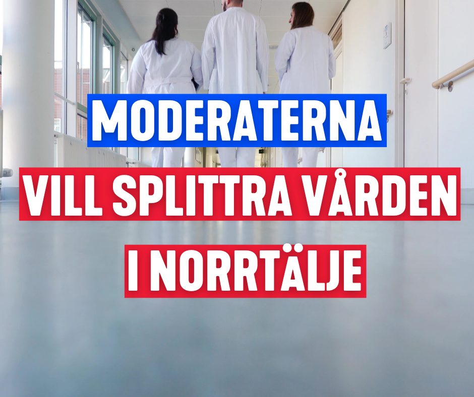 MODERATERNA_VILL_SPLITTRA_V&Aring;RDEN_I_NORRT&Auml;LJE.png