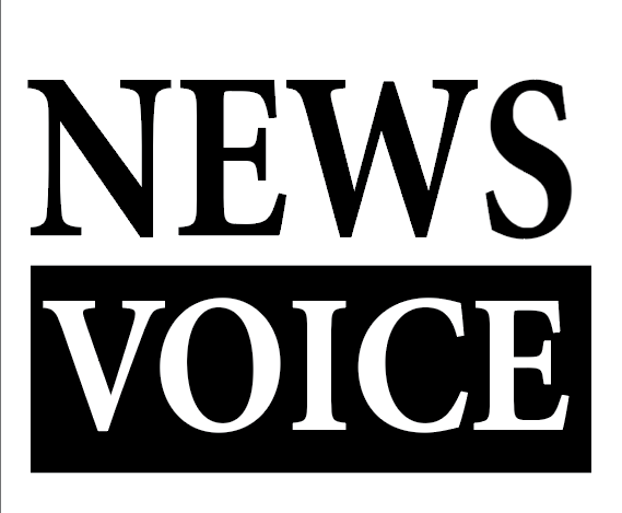 NewsVoice-LOGO.png