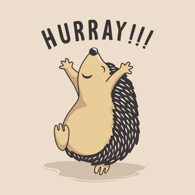 hedgehog-jumping-cartoon-happy-hurray-porcupine_125446-345.jpg