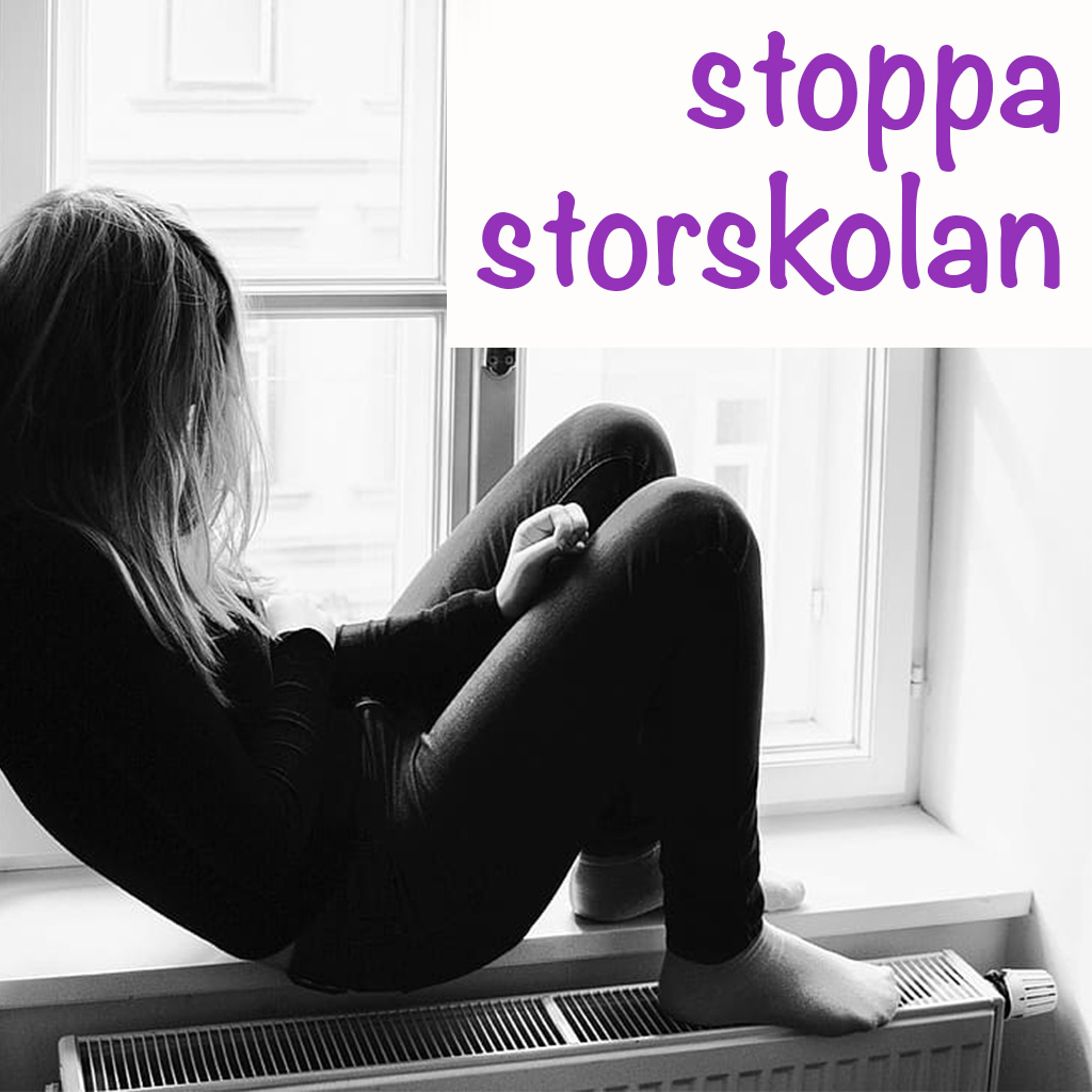 storskola.jpg